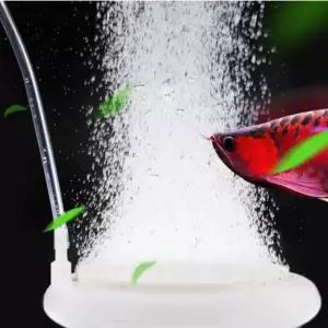 어항 산소 에어 디퓨저 미니 물고기 미세