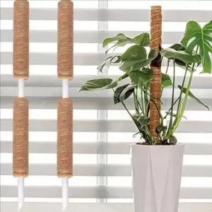 몬스테라 식물 지지대 코코넛 화분 실내용 넝쿨 지지봉 연결용