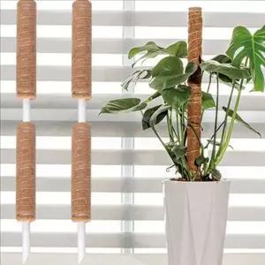 몬스테라 식물 지지대 코코넛 화분 실내용 넝쿨 지지봉 연결용