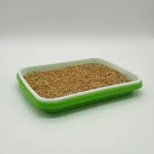 새싹 씨앗 식물재배기 트레이