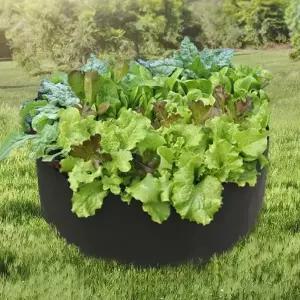 부직포 화분 베란다 텃밭 블루베리화분