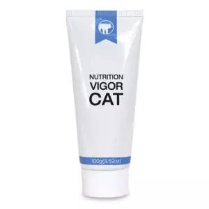 엘라이신 애옹이헬스케어 야옹이건강 건강 냐옹이헬스케어