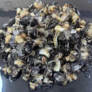 싱싱햇 순살 우렁이살 냉동 왕우렁이 1kg