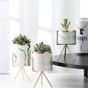 다육식물 선인장 화분 인테리어 소품 거치대 고급 보관 용기