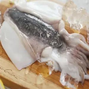 유쎌몰 손질 갑오징어 350G 냉동 냉동갑오징어