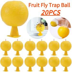 플라스틱 플라이 트랩 초파리 캐처 다기능 스티커 구 실내 야외용 시트러스 모양