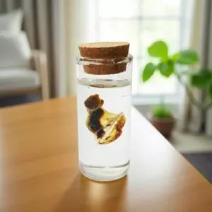 신생아 배꼽 출산 추억 기념품 아기 탯줄 보관함 보관병 DIY 세트