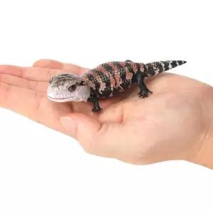 개코 도마뱀 피규어 모형 장식품 장난감 갑옷도마뱀피규어