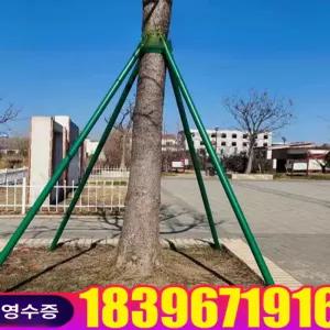 묘목 지지대 보호 시공 지주목 스트랩 조경수 나무 식물