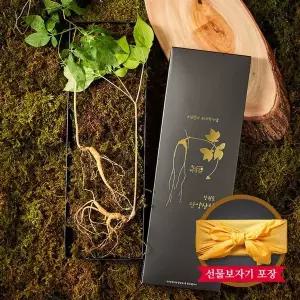 [NS홈쇼핑][자연삼가] 1+1 강원도 토종 산양삼 산양산삼 선물세트 5~6년근 (2뿌리)x2세트..[35682775]