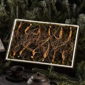 [NS홈쇼핑][자연삼가] 강원도 토종 산양산삼 선물세트 5-6년근 (12뿌리)..[35682791]