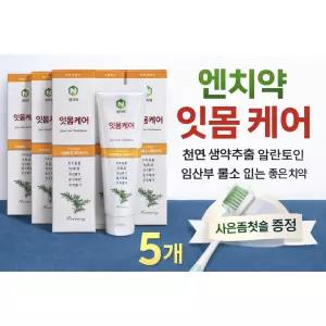 엔치약 잇몸 케어 천연 생약추출 알란토인 임산부 불소 없는 좋은 치약 N 앤치약 6개 (칫솔증정)