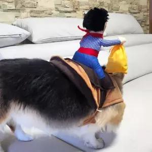 강아지 할로윈 옷 코스튬 애견 약탈범 S