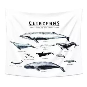 벽걸이소품 쿨샵 천가림막 벽인테리어 그림포스터 고래가림막특대