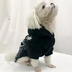 Party Club 할로윈 스컬 장식 의상애완견옷 강아지 애견 반려 패션