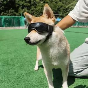 고급 애견용 강아지고글안경 악세사리 산책 용품 패션소품