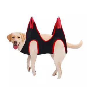 반려동물 셀프미용 해먹 고양이 애견거치대 발톱해먹의자 강아지 견발 묘발