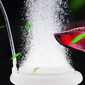 어항 에어 디퓨저 수족관산소발생기 수조공급산소기포기 수조 물고기 포기 공기 확산 공급