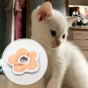 꽃피는 강아지 고양이 쿠션 넥카라 핑크 S 깔대기 목수술용품 수술용 애견 커버 깔때기 카라