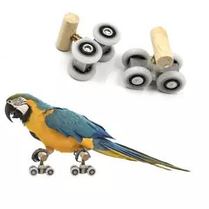앵무새 장난감 롤러스케이트 놀이터 코뉴어