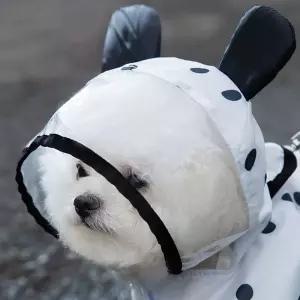 점패턴 애견 판초 반려 우비 망토 오는날 산책옷 는강아지 오는 레인코트 소형 중형 강아지