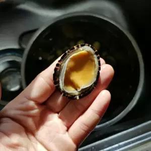 자연산 배말 500g 삿갓조개 보말 신선한 급냉배송