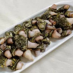 당일 급냉 자연산 거북손 500g 15-30미 겨울별미 거북손 거위목 따개비 보찰 제철해산물 겨울해산물