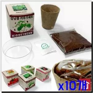 WL 강낭콩 채소 미니 재배 키우기세트 x10개 새싹씨앗