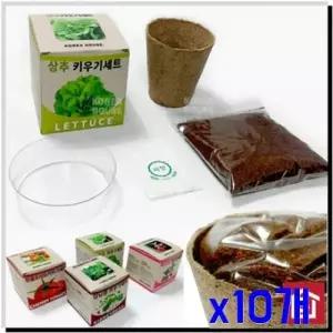 WL 상추 채소 미니 재배 키우기세트 x10개 쌈채소모종