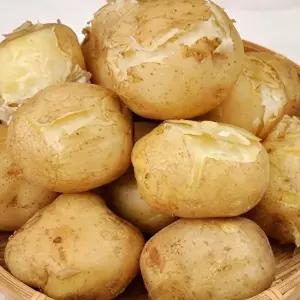 [후레쉬빌]포근포근 25년산 햇 감자 5kg (특)