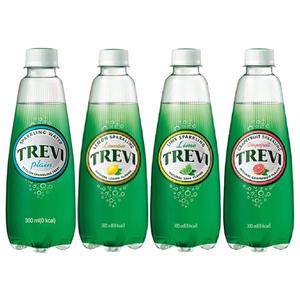 트레비 플레인 레몬 라임 자몽 300ml 20병