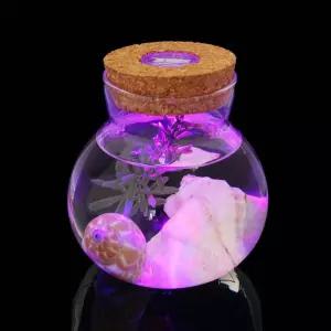 수경 LED 유리공병 반려식물 마리모 유리병 키우기