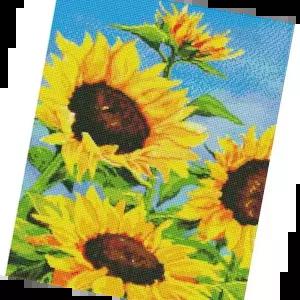 비즈 하모니아트 보석십자수 해바라기와 파란하늘 40x50