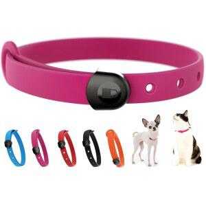 도그 칼라 위한 미니) 논 조절 캣 - 부드럽고 이름표 브레이크어웨이 강아지를 가벼운 Nuvuq의 편안하고 미니어처 (핑크, 개와 링이 있는 가능한