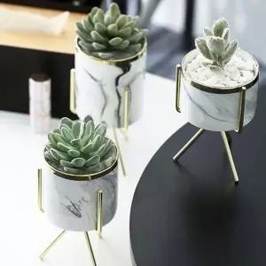 다육이 화분 거치대 선인장 거실 토분 화분받침대 인테리어식물 다육이화분 다육화분