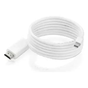 TrueAV mini displayport to Displayport cable 2m