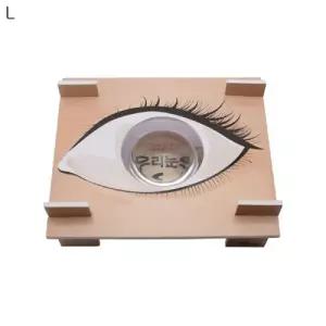 우리눈의구조 만들기 5인세트완구 학습키트 실험 과학상자 초등