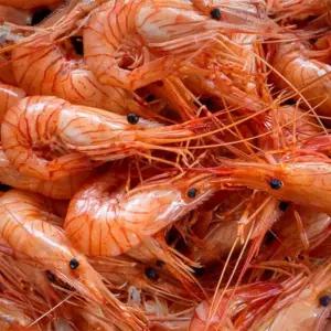 동해안 급냉 홍새우 단새우 아마에비 500g