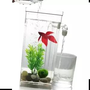 어항여과기 물멍 자동 청소 어항 금붕어 구피 해수어 베타 키우기