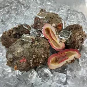 남해안 자연산 돌멍게 2kg