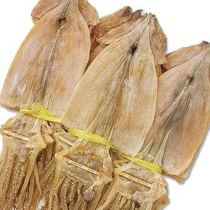 마른오징어 1축20마리-1호 건오징어 국내건조