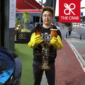 캐나다 활 점보 랍스타 1.3-2.8kg 랍스터 바닷가재