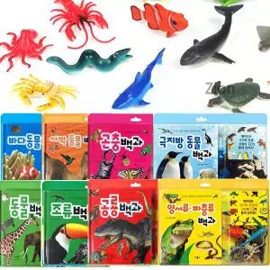 애플비 모형백과 곤충 동물 공룡 파충류 백과사전/책+모형12개