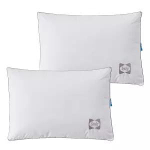 씰리 폴리 베개  2P 스탠다드베개 프레쉬 향균 코스트코