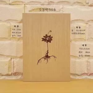 산양삼 이끼 포장 오동 나무 상자 (중형)