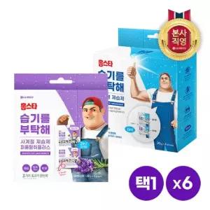 홈스타 습기를부탁해 걸이형 제습제 4개입 x 6개 [무향 라벤더향]택1