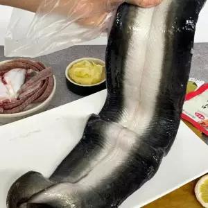 고창 자포니카 민물장어 3kg