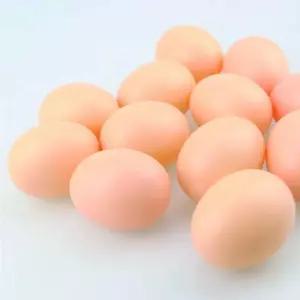 인공계란 플라스틱 모형 장난감 부활절 계란 플라스틱 인공계란 모형계란