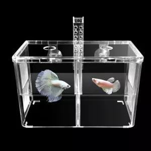 [모두모아]베타합사 치어격리통 베타번식 베타부화기 걸이식부화통 구피산란통