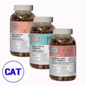 구강 장 헤어볼 건강 포뮬러 영양스낵 애완묘보조제 길약